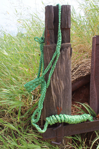 Green halter