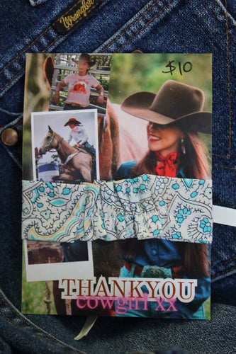 Blue paisley