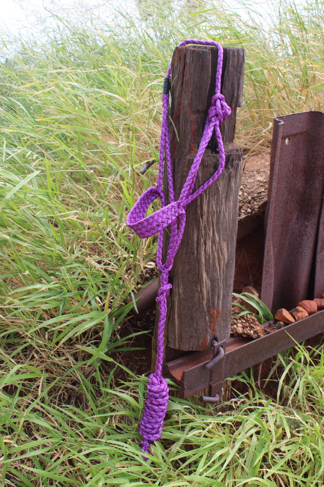 Purple halter