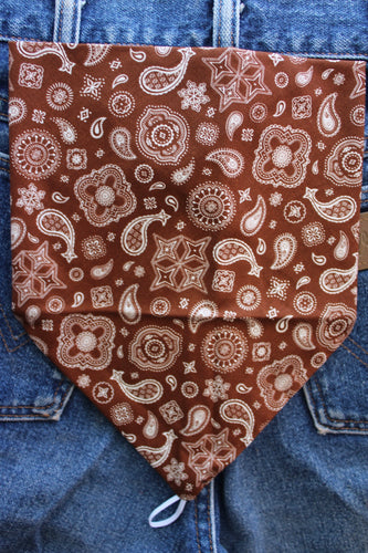 Brown paisley