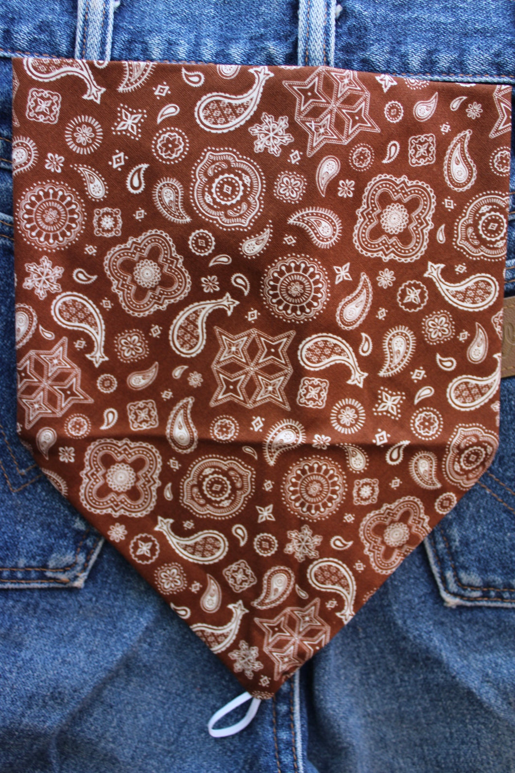 Brown paisley